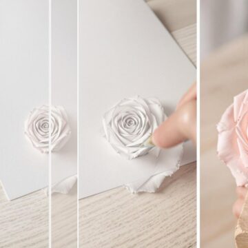 doodle a rose easily