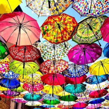 artistic harmony through contrast