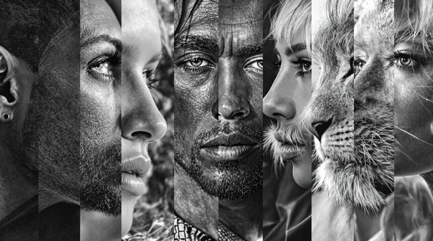 stunning pencil art drawings